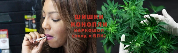 кокс Белокуриха
