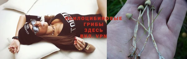 кокс Белокуриха