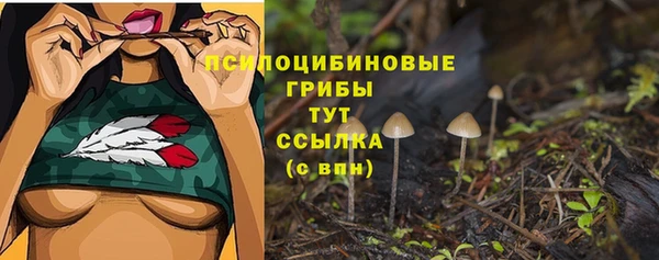 кокаин премиум Каменка
