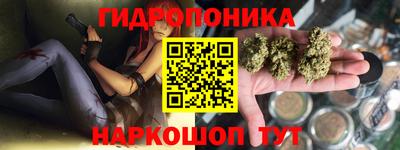 крисы Волжский