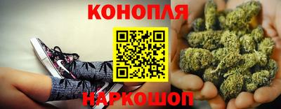 крисы Волжский